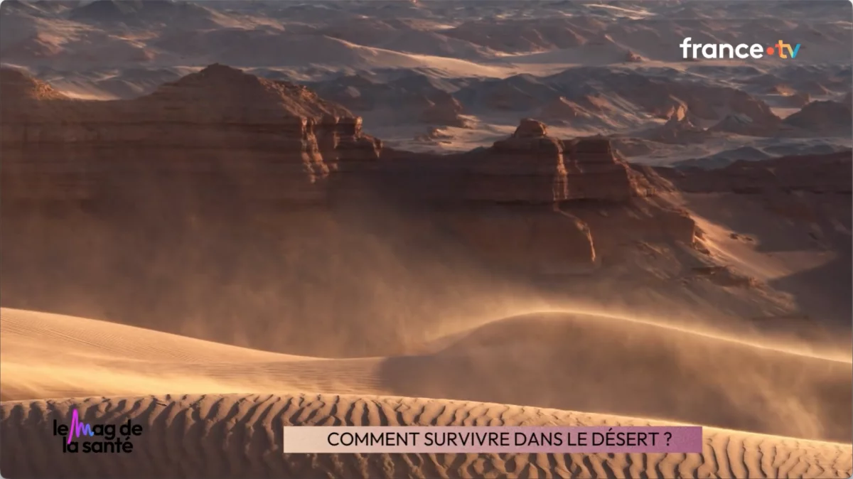 Impossible de lire la video